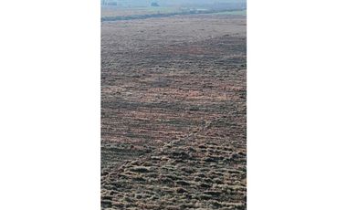 VENTA DE FINCA 90 HAS EN LUJAN DE CUYO