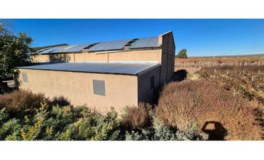 VENTA DE FINCA 90 HAS EN LUJAN DE CUYO