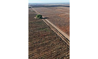 VENTA DE FINCA 90 HAS EN LUJAN DE CUYO