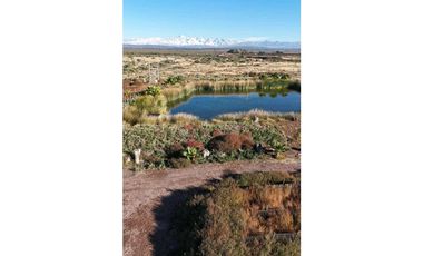 VENTA DE FINCA 90 HAS EN LUJAN DE CUYO