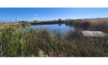 VENTA DE FINCA 90 HAS EN LUJAN DE CUYO