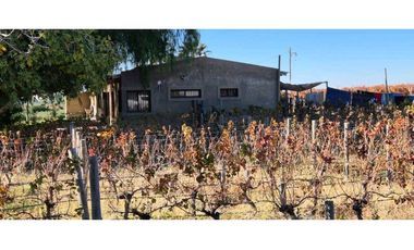 VENTA DE FINCA 90 HAS EN LUJAN DE CUYO