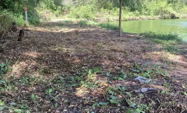 Land for sale in Phanthai Norasing, Samut Sakhon