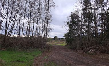 Parcela en Venta en Dirección (Norte - Sur) Km 468 (pasarela el Mago) Lotéo ubicado a solo metros de la ruta 5 Sur.