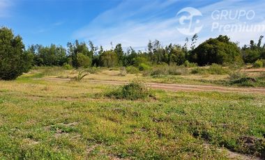 Parcela en Venta en Dirección (Norte - Sur) Km 468 (pasarela el Mago) Lotéo ubicado a solo metros de la ruta 5 Sur.