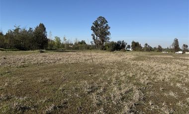 Parcela en Venta en camino pinto kilometro 8