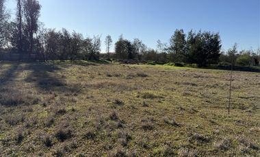 Parcela en Venta en camino pinto kilometro 8