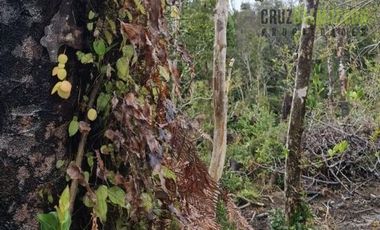 Agrícola en Venta en a solo 10 kilometros de caleta Estaquilla