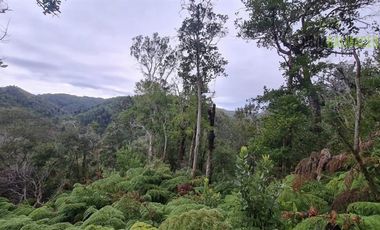 Agrícola en Venta en a solo 10 kilometros de caleta Estaquilla