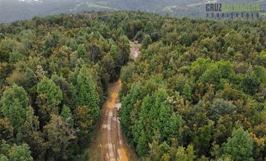 Agrícola en Venta en a solo 10 kilometros de caleta Estaquilla