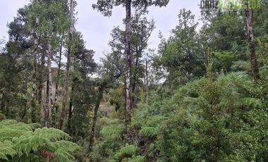 Agrícola en Venta en a solo 10 kilometros de caleta Estaquilla