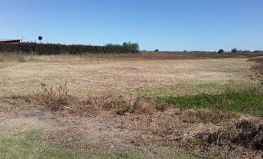 Casa en venta - 1 Dormitorio 1 Baño - 2939Mts2 - Lobos