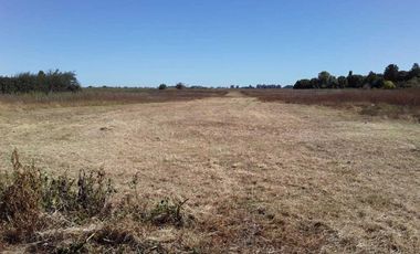 Casa en venta - 1 Dormitorio 1 Baño - 2939Mts2 - Lobos