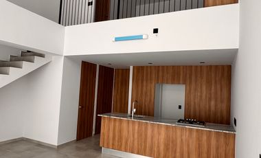 Departamento en renta colonia, Jardines de Guadalupe