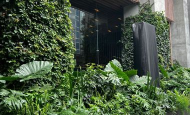 Departamento en Renta en University Tower