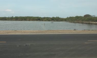 Tanah Raya Manyar Gresik