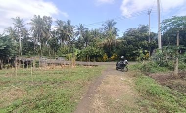 Tanah Zona Pink dekat Pantai Pekutatan dan Medewi Bali