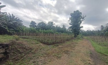 Tanah Zona Pink dekat Pantai Pekutatan dan Medewi Bali