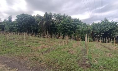 Tanah Zona Pink dekat Pantai Pekutatan dan Medewi Bali