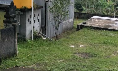 Dijual kandang babi kapasitas 300 di Kintamani Bali