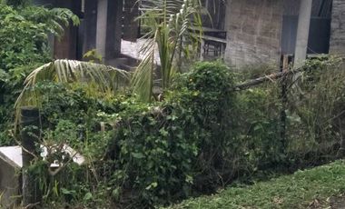 Dijual kandang babi kapasitas 300 di Kintamani Bali