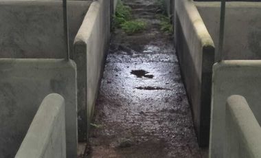 Dijual kandang babi kapasitas 300 di Kintamani Bali