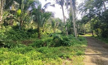 Land for Leasehold in Tabanan Bali close Sing Sing Angin waterfall
