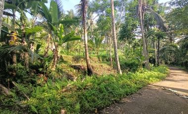 Land for Leasehold in Tabanan Bali close Sing Sing Angin waterfall