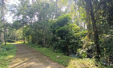 Land for Leasehold in Tabanan Bali close Sing Sing Angin waterfall