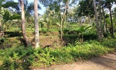 Land for Leasehold in Tabanan Bali close Sing Sing Angin waterfall