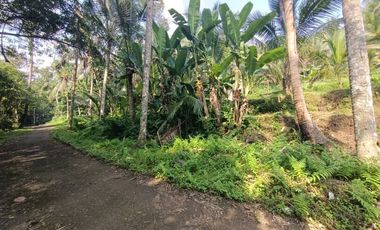 Land for Leasehold in Tabanan Bali close Sing Sing Angin waterfall