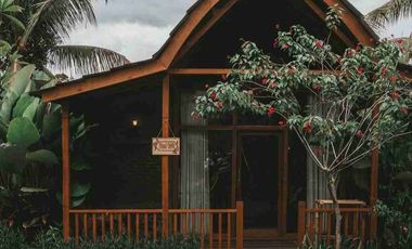 Eco Resort View Sungai dan Jungle di Bali