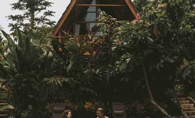 Eco Resort View Sungai dan Jungle di Bali