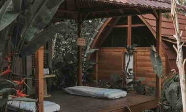 Eco Resort View Sungai dan Jungle di Bali