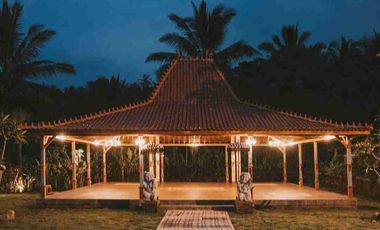 Eco Resort View Sungai dan Jungle di Bali