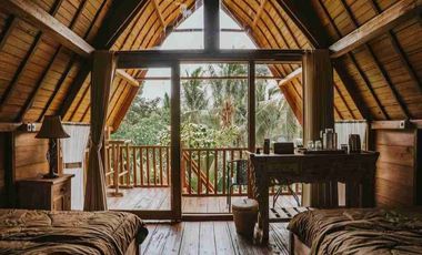 Eco Resort View Sungai dan Jungle di Bali