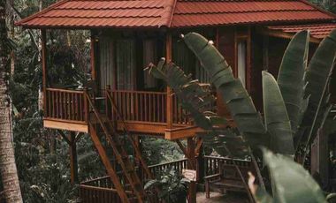 Eco Resort View Sungai dan Jungle di Bali