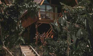 Eco Resort View Sungai dan Jungle di Bali