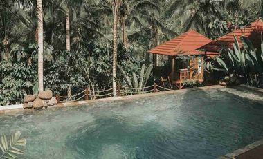 Eco Resort View Sungai dan Jungle di Bali