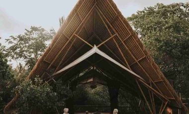 Eco Resort View Sungai dan Jungle di Bali