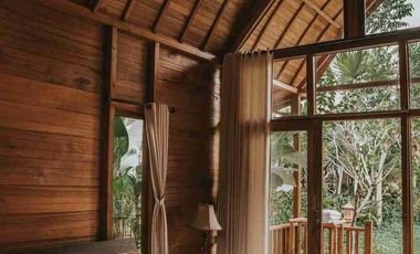 Eco Resort View Sungai dan Jungle di Bali