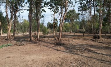 TU VIDA EN EL MAULE COMIENZA HOY
