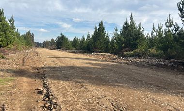 TU VIDA EN EL MAULE COMIENZA HOY