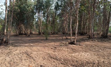 TU VIDA EN EL MAULE COMIENZA HOY