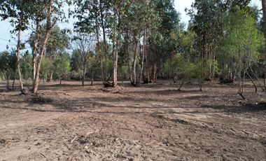 TU VIDA EN EL MAULE COMIENZA HOY