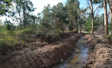 TU VIDA EN EL MAULE COMIENZA HOY