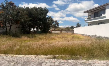 Terreno en venta en Lomas Flor del Bosque, Puebla, Puebla