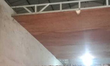 Ruko Murah Kota Baru Driyorejo Gresik 2 Lantai Nol Jalan Raya