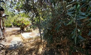 VENTA CASA 3HAB 1BA LA CISTERNA