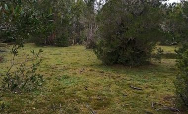 PARCELAS ROL PROPIO, LUZ Y AGUA PUERTO MONTT